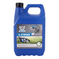 Alkylatbenzin 4 TAKT - 5 liter