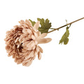 Silkeblomst krysantemum – H65 cm – nude