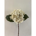 Silkeblomst hortensia – 33 cm – creme