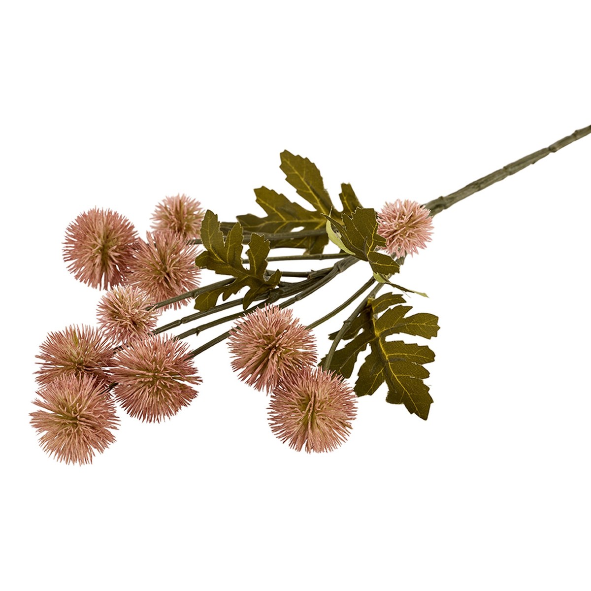 Silkeblomst blomstergren 'Balls' – H55 cm – rosa