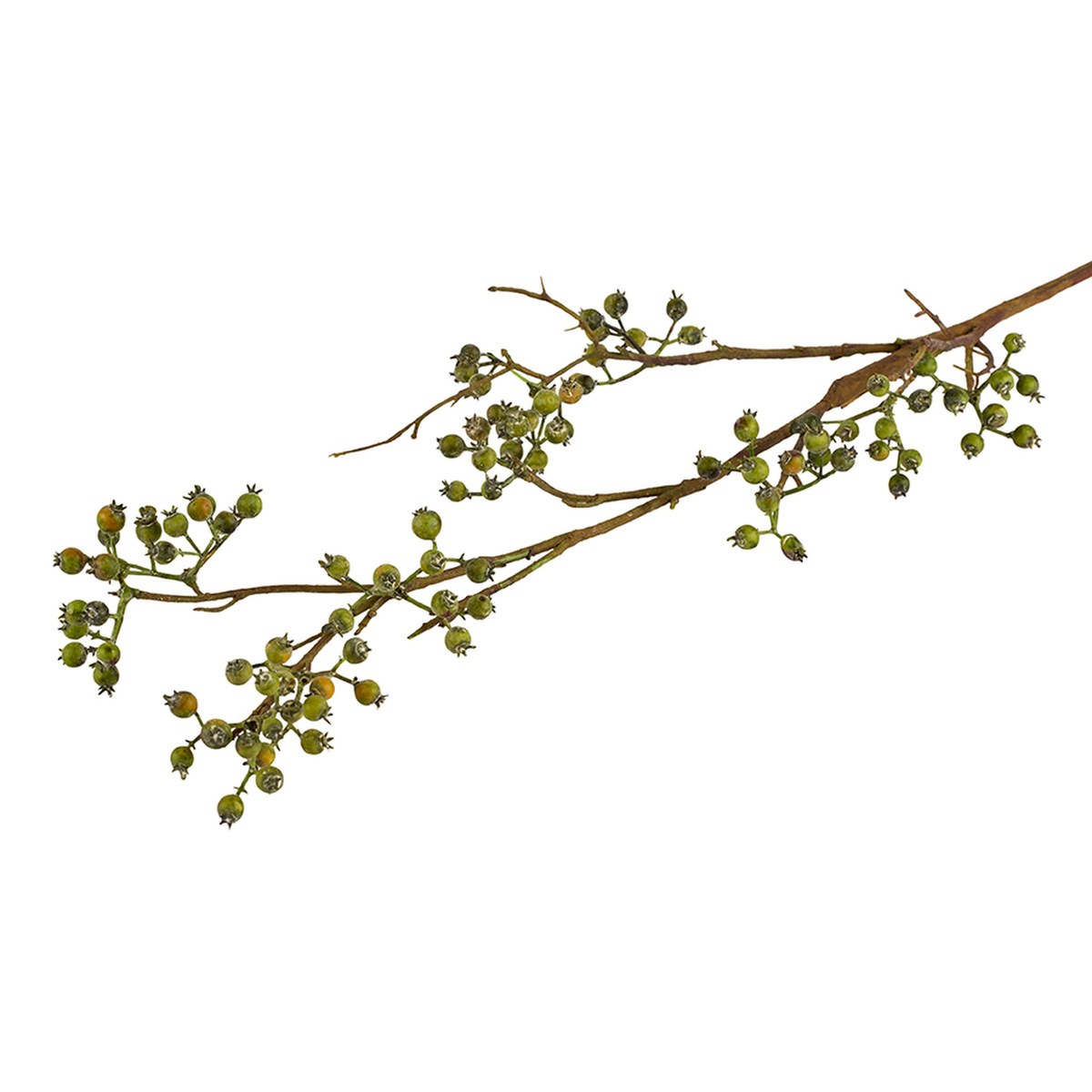 Silkeblomst mariebær – H65 cm – grøn
