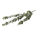 Silkeblomst eukalyptus – H75 cm – grøn