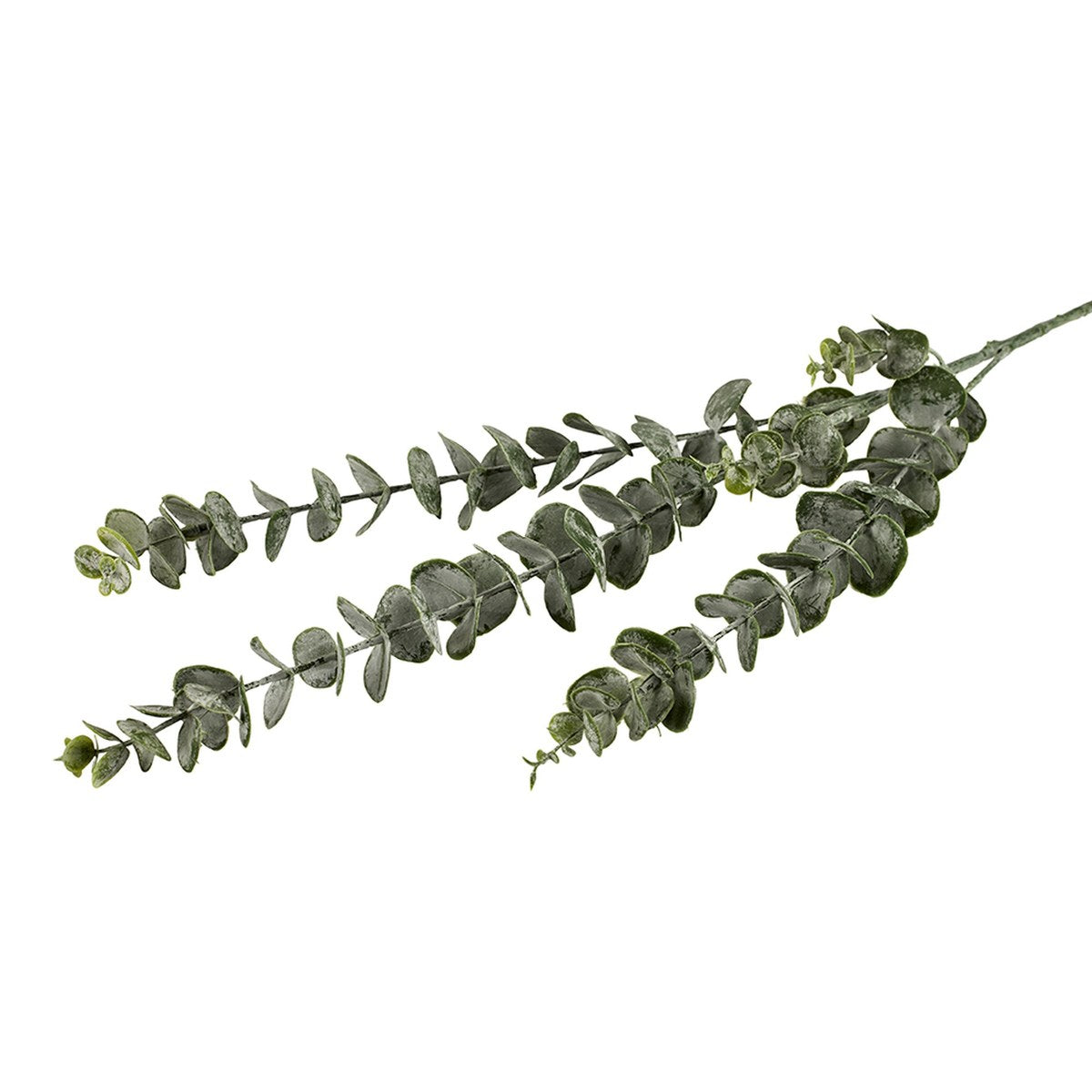 Silkeblomst eukalyptus – H75 cm – grøn