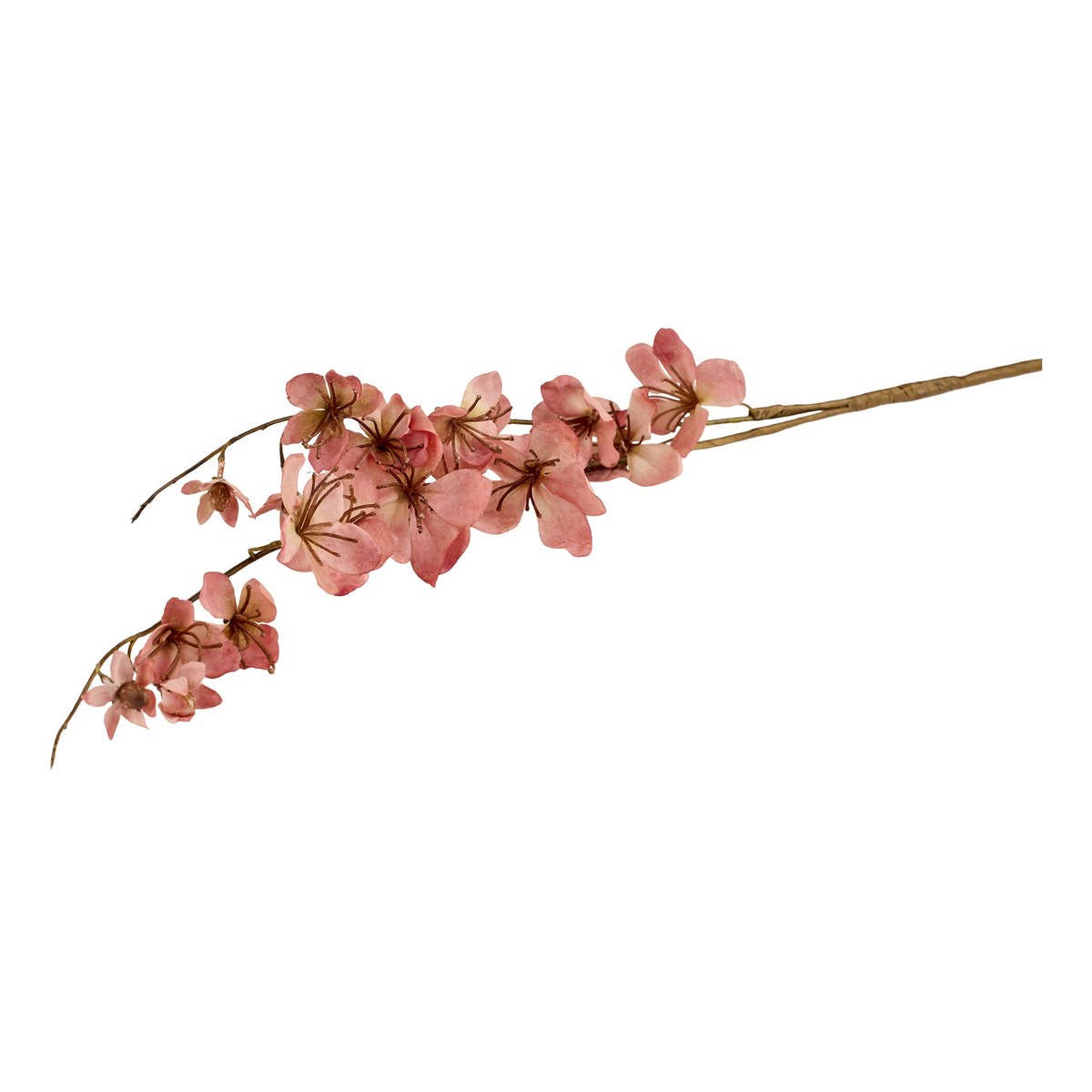 Silkeblomst paradisæble – 100 cm – antik rosa