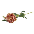 Silkeblomst pæon – 70 cm – antik rosa