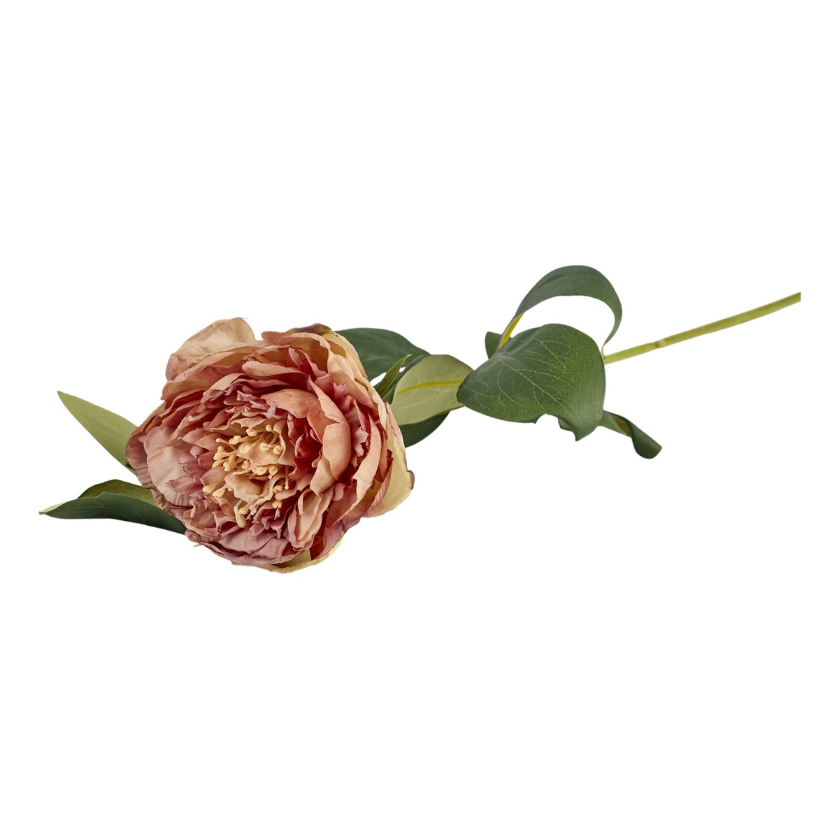 Silkeblomst pæon – 70 cm – antik rosa