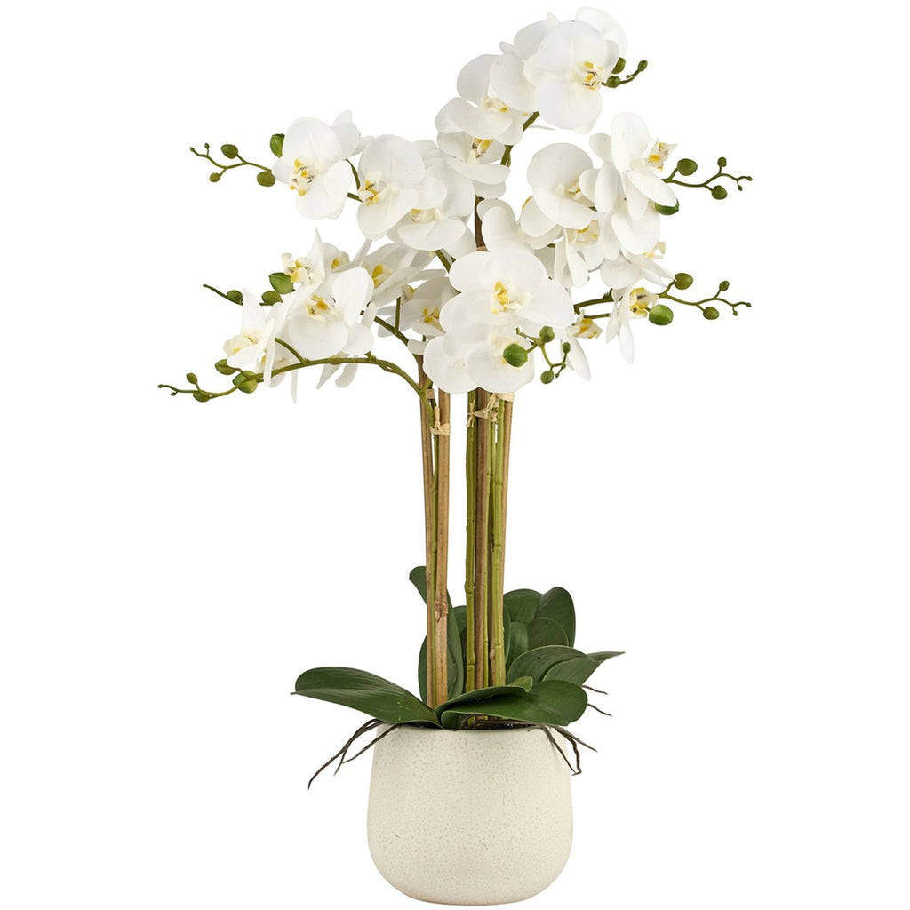Silkeblomst orkidé i potte – H65 cm – hvid