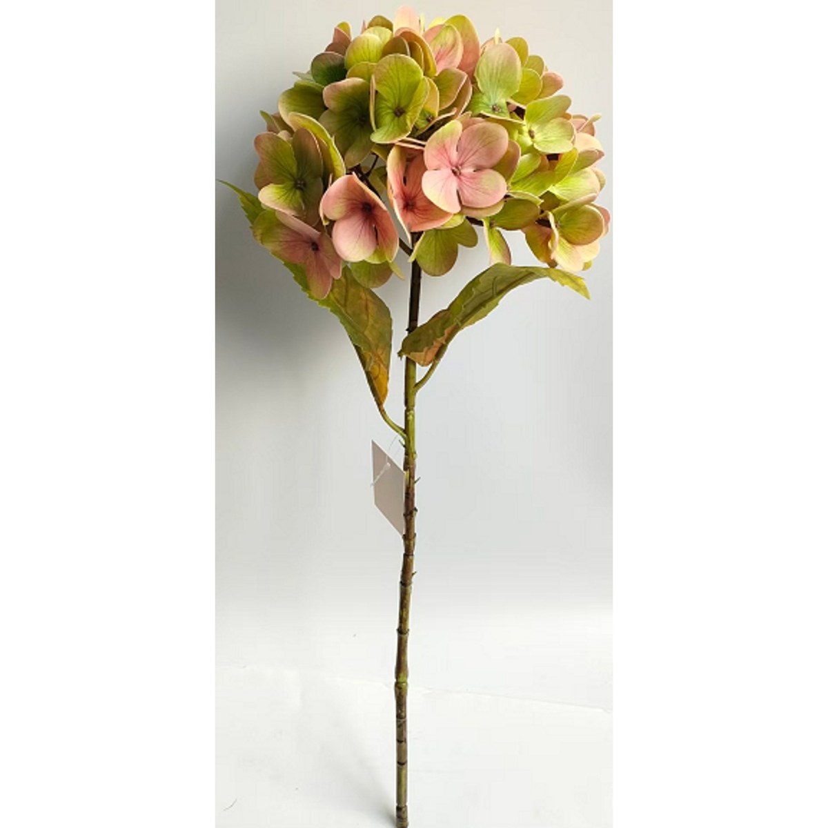 Silkeblomst hortensia – H56 cm – antik rosa