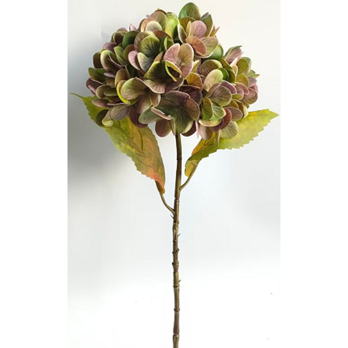 Silkeblomst hortensia – H56 cm – antik bordeaux