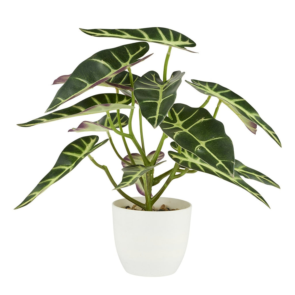 Kunstig plante i potte Alocasia – H28 cm – broget