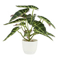Kunstig plante i potte Alocasia – H28 cm – broget