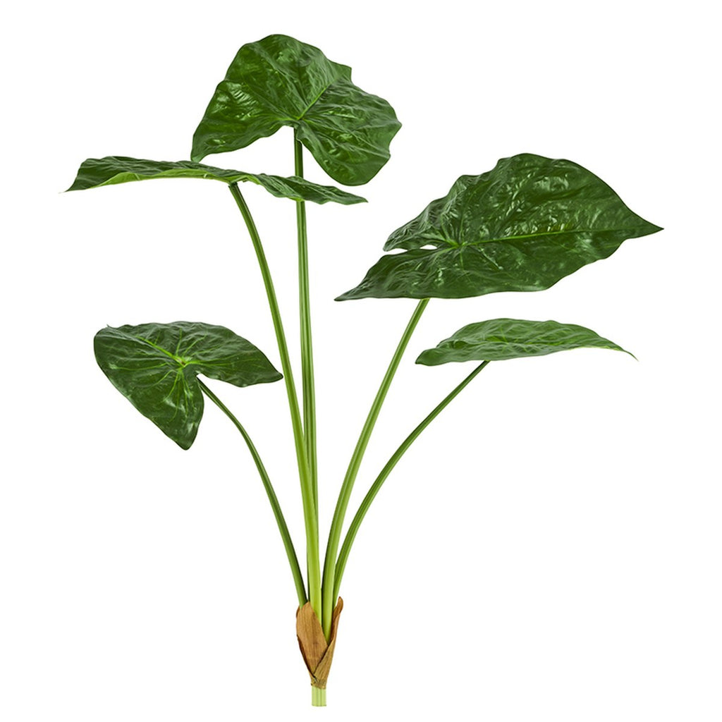 Kunstig stor alocasia – H79 cm – grøn