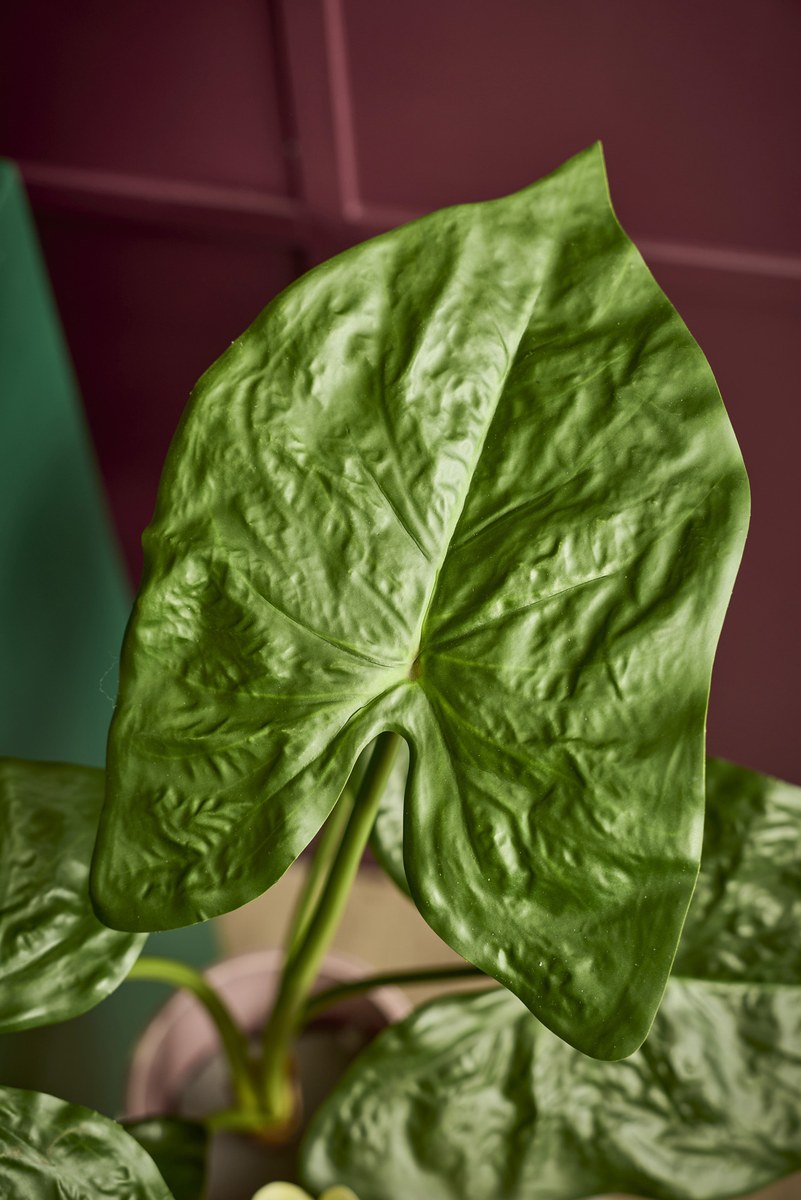 Kunstig stor alocasia – H79 cm – grøn