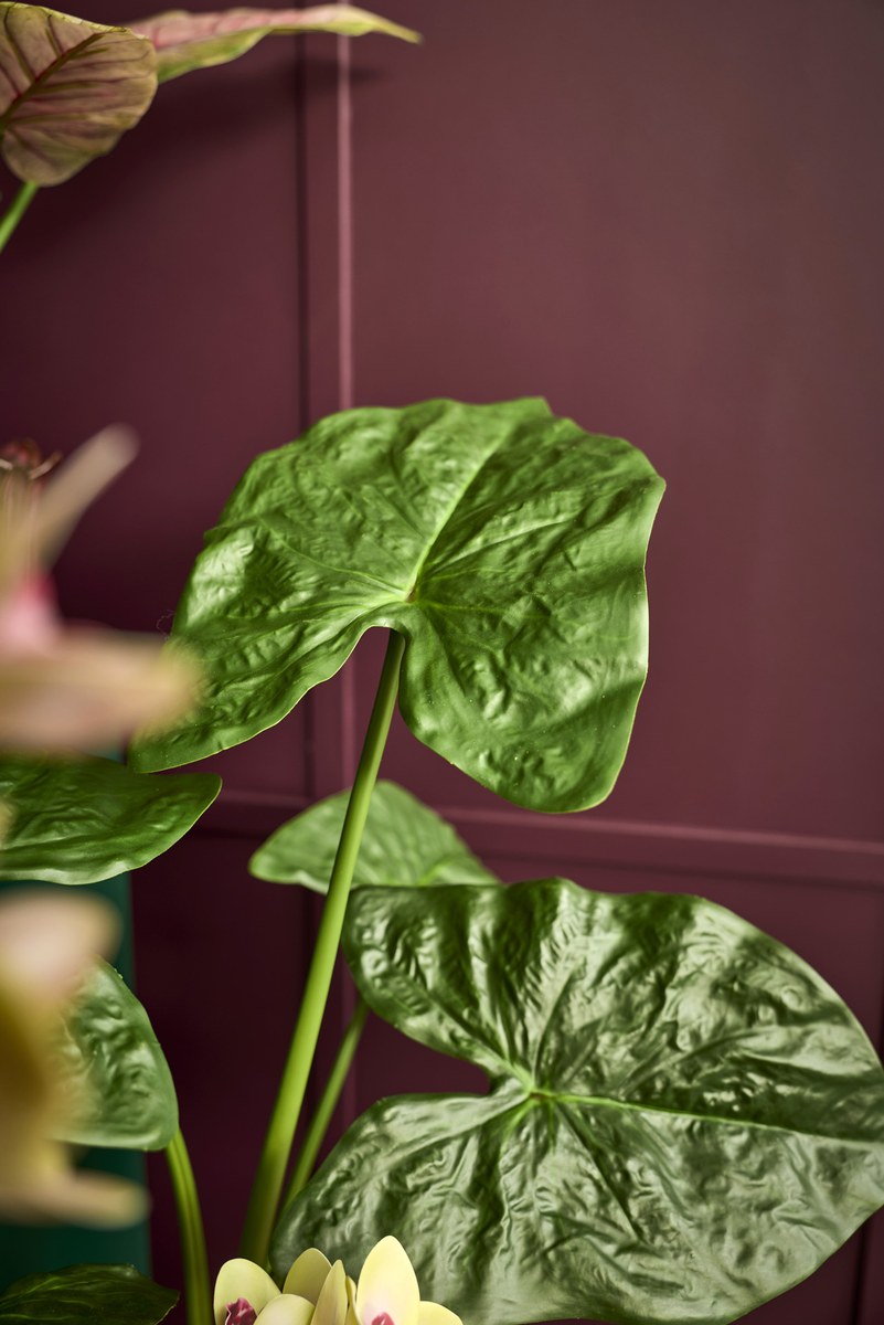 Kunstig stor alocasia – H79 cm – grøn