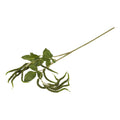 Silkeblomst raklegren – 90 cm – grøn