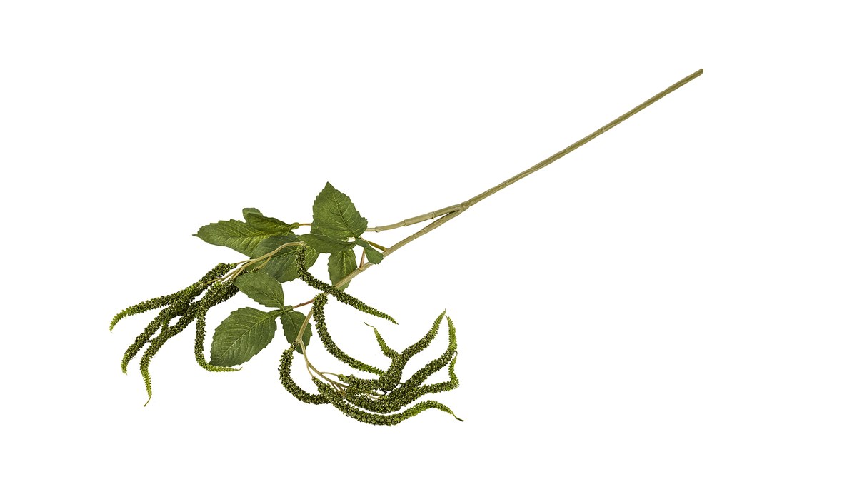 Silkeblomst raklegren – 90 cm – grøn