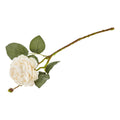 Silkeblomst ranunkel – L46 cm – creme