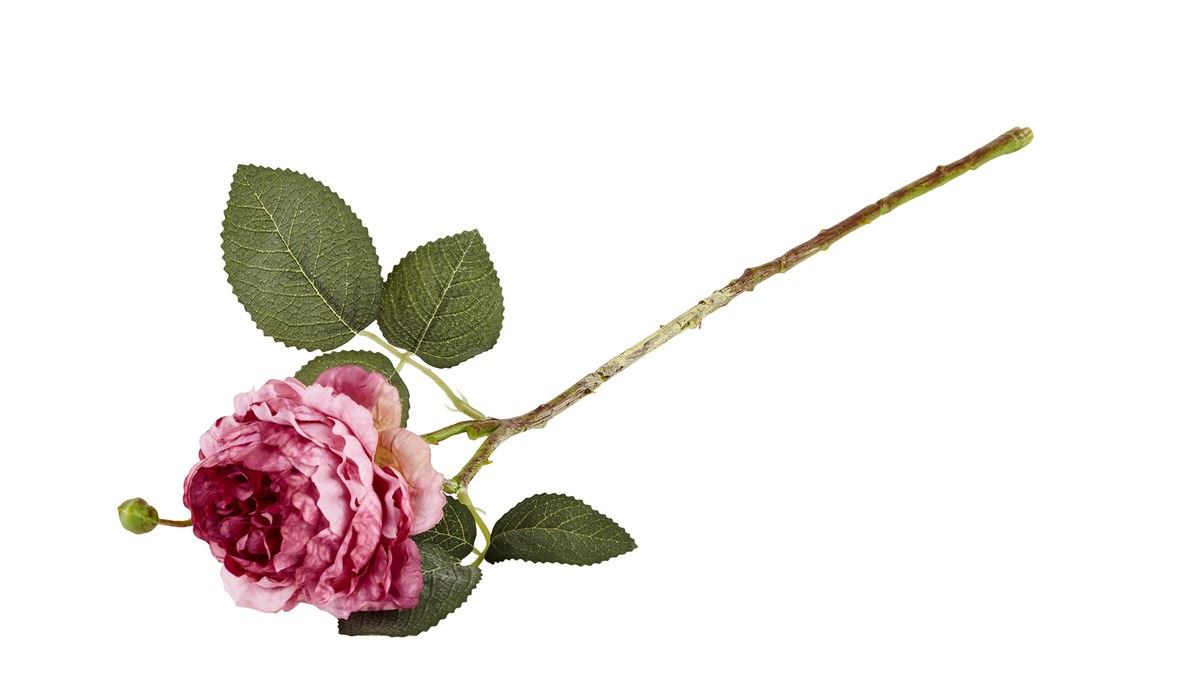 Silkeblomst rose – L46 cm – lilla
