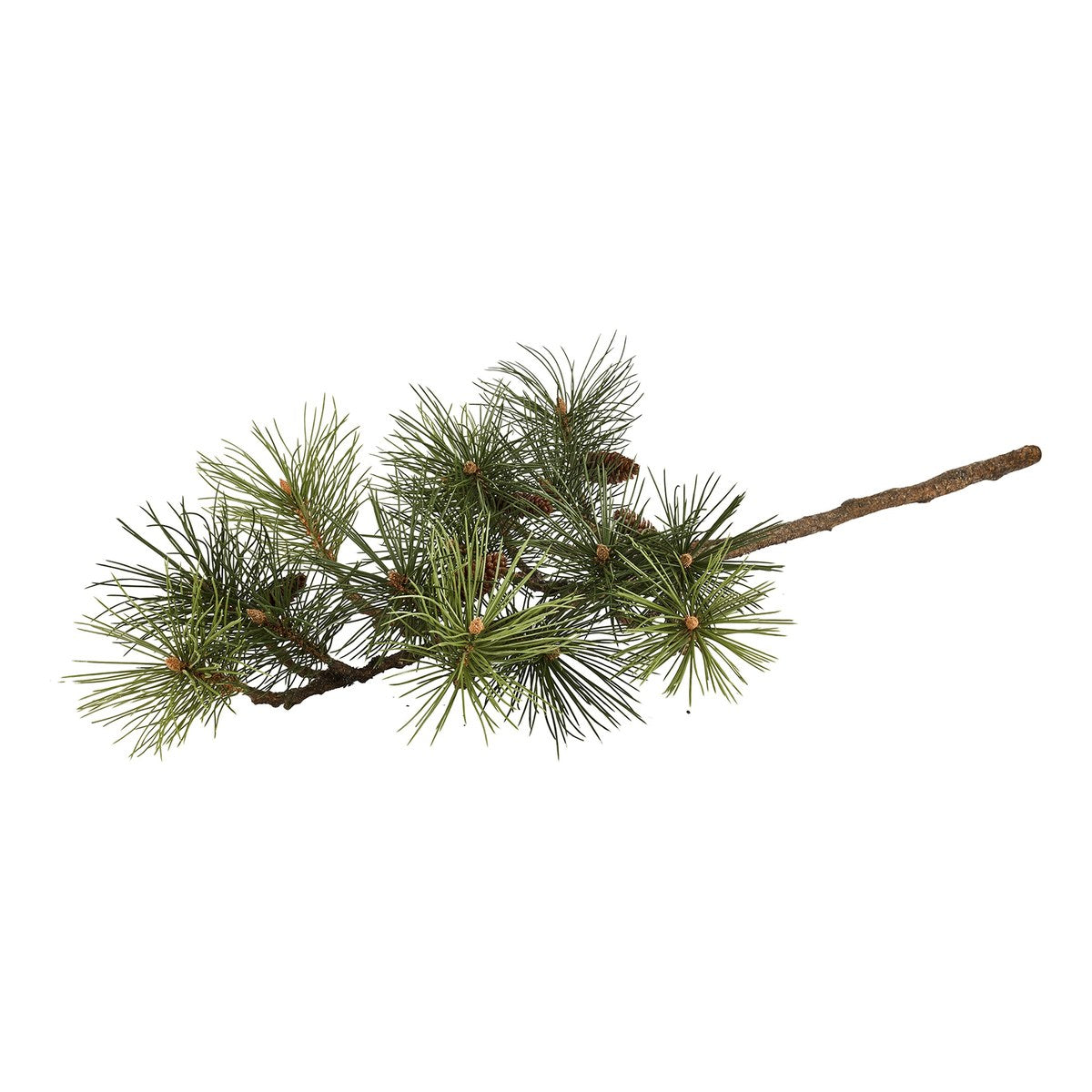 Silkeblomst fyrregren med kogle – L112 cm – grøn