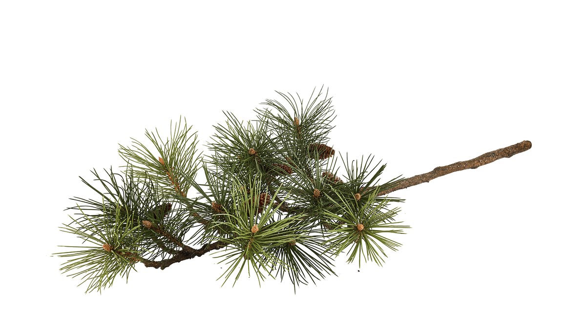 Silkeblomst fyrregren med kogle – L112 cm – grøn