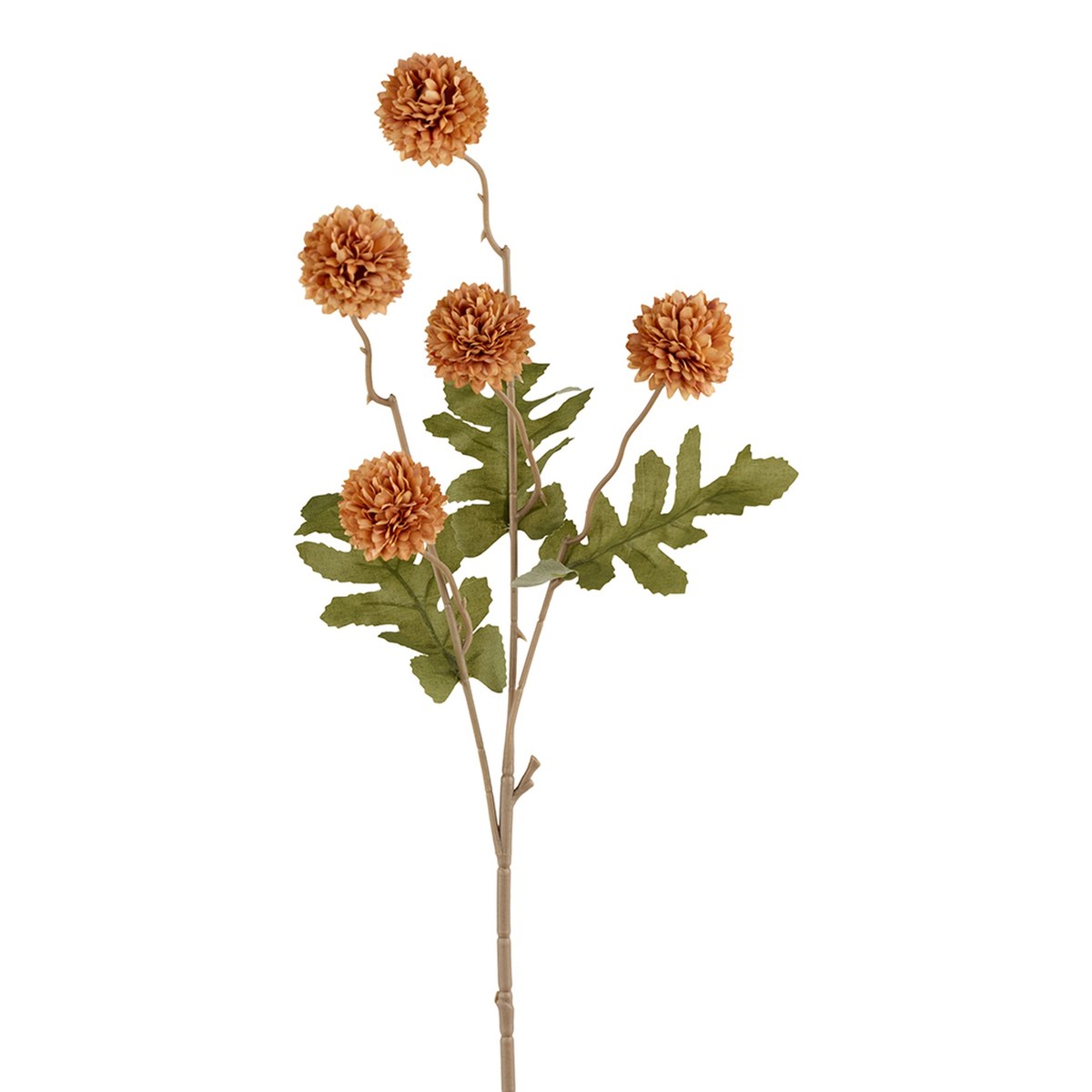 Silkeblomst krysantemum – 50 cm – orange