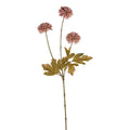 Silkeblomst krysantemum – 58 cm – pink
