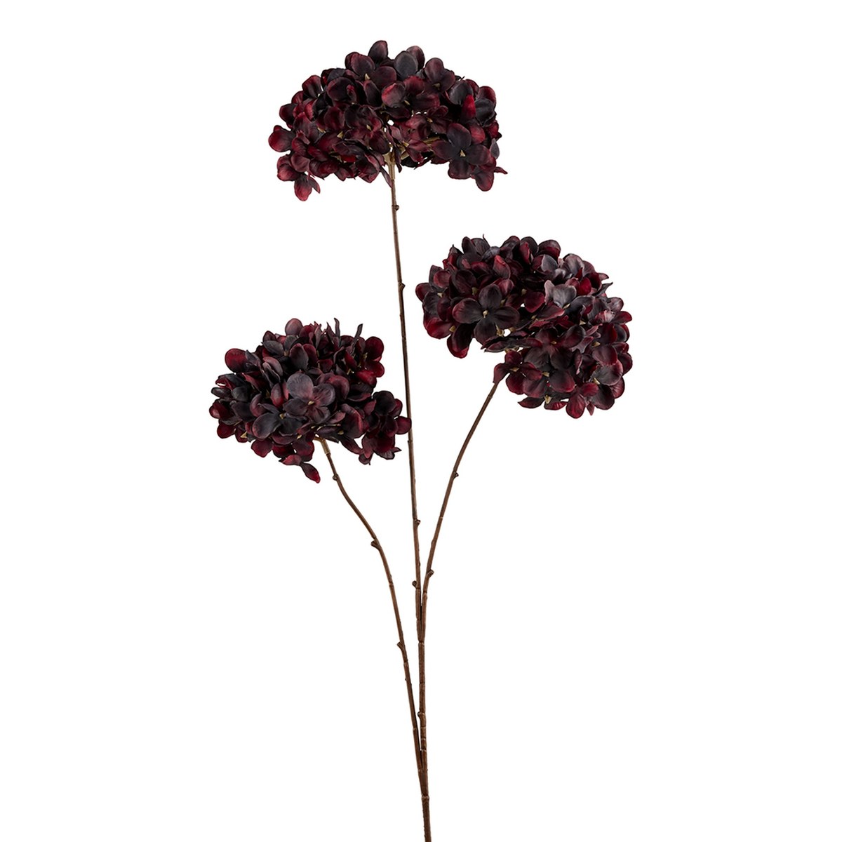 Silkeblomst hortensia 3 gr. – 90 cm – bordeaux