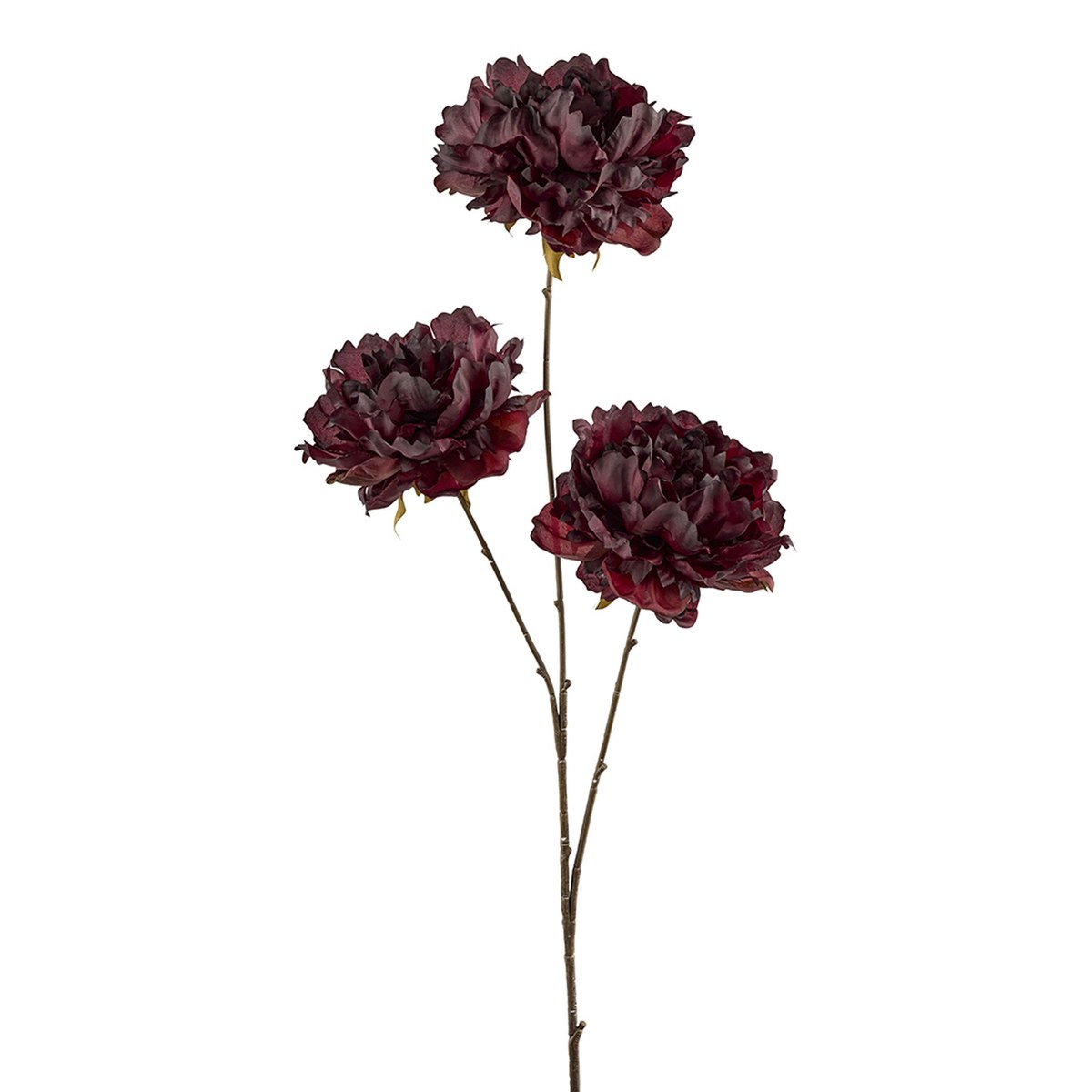 Silkeblomst pæon 3 gr. – 86 cm – bordeaux