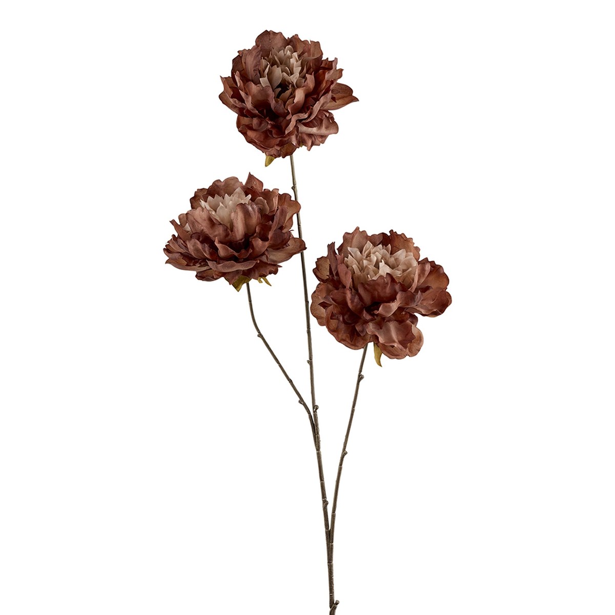 Silkeblomst pæon 3 gr. – 86 cm – gylden