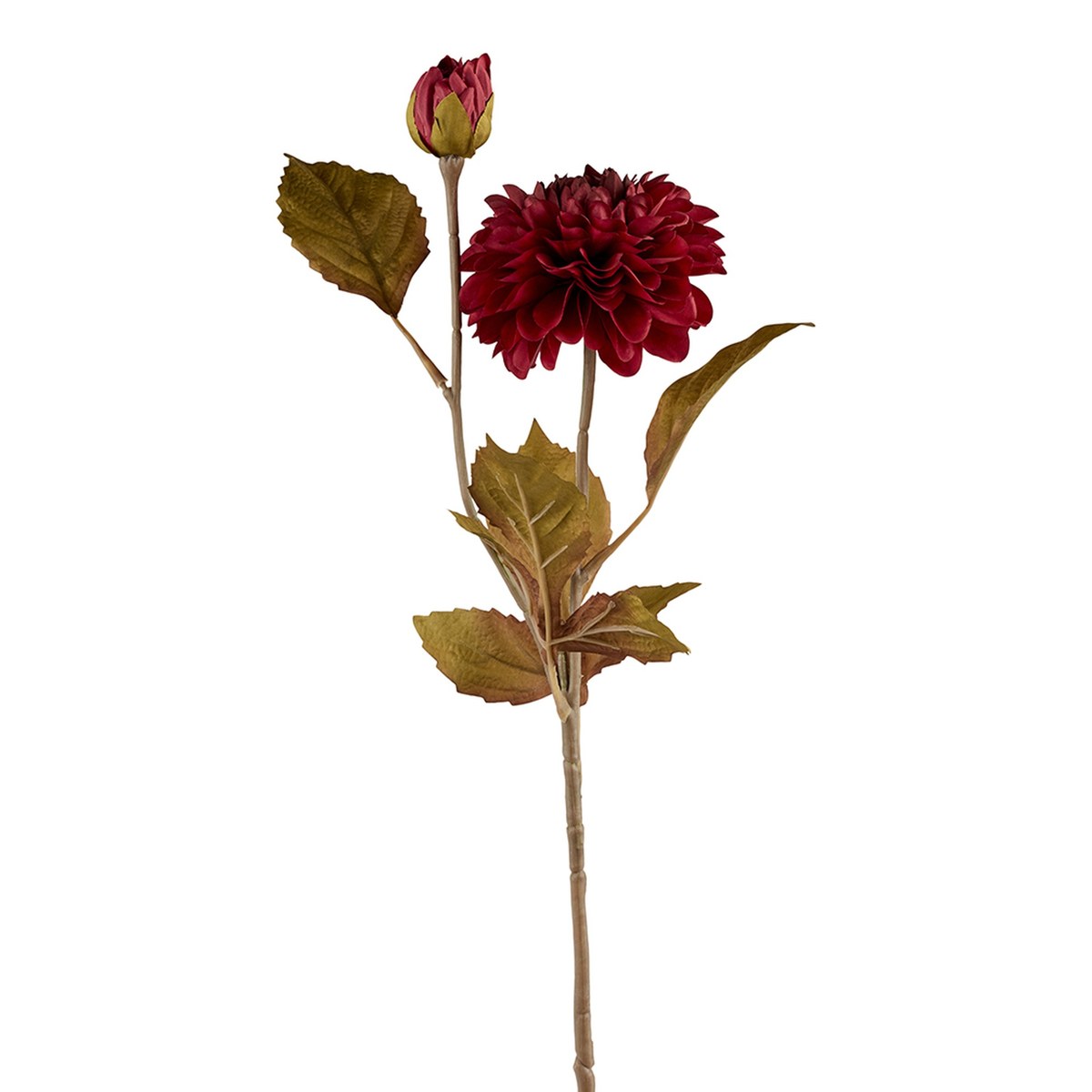 Silkeblomst dahlia – 55 cm – rød