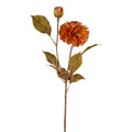 Silkeblomst dahlia – 55 cm – orange