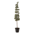 Pine is – H80 cm – grøn/is