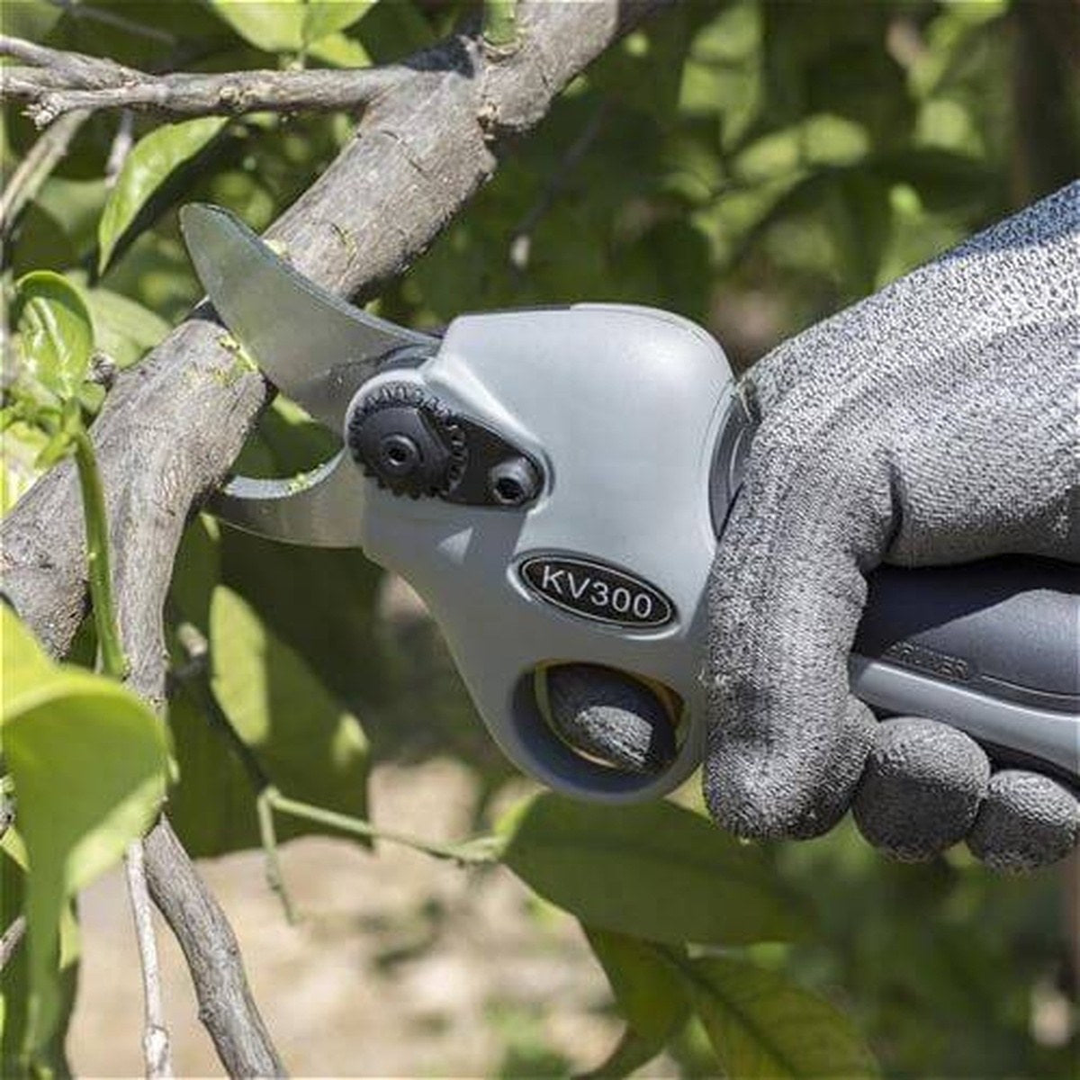 Volpi elektronisk grensaks beskærer grene på kirkegården, ergonomisk design